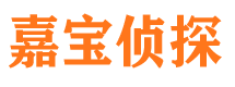 复兴市侦探公司